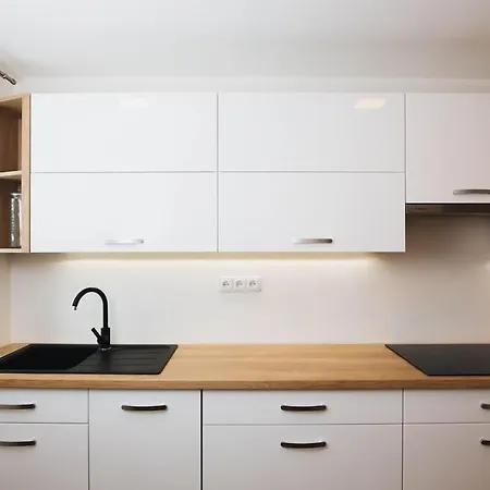 Modern Near Brno アパート *