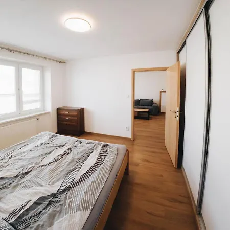 Modern Near Brno アパート Kuřim